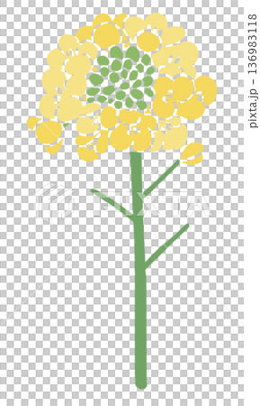 菜の花のベクターイラスト｜春の花背景・和風テキスタイルデザイン素材 136983118