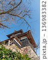 生垣越しに見上げる快晴の追手向櫓 136983382
