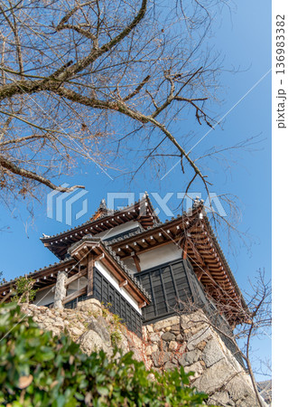 生垣越しに見上げる快晴の追手向櫓 136983382