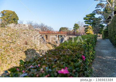 生垣越しに見る大和郡山城の極楽橋と白沢門跡 136983384