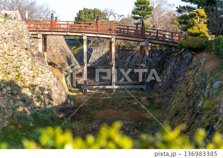 生垣越しに見る大和郡山城の極楽橋 生垣越しに見る大和郡山城の極楽橋 136983385
