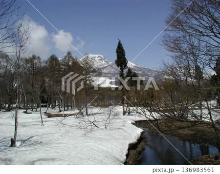 冬の弥陀ヶ池から見る日光白根山 冬の弥陀ヶ池から見る日光白根山 136983561