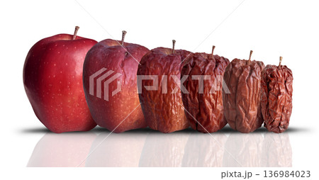 Process Of Aging Process Of Aging 136984023