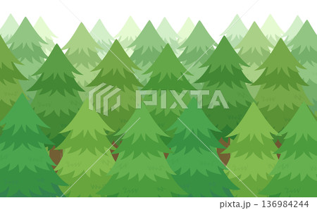 スギ並木のイラスト_横 スギ並木のイラスト_横 136984244