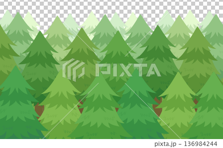 スギ並木のイラスト_横 スギ並木のイラスト_横 136984244