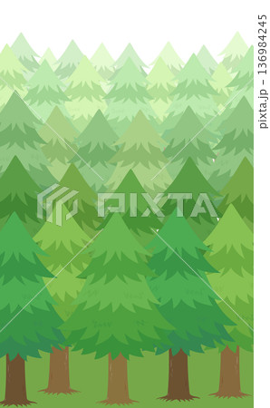 スギ並木のイラスト_縦 スギ並木のイラスト_縦 136984245