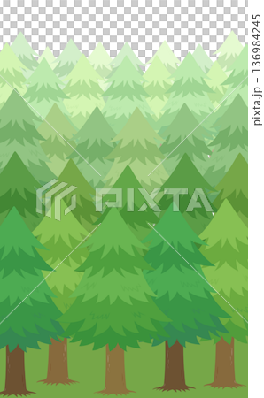 スギ並木のイラスト_縦 スギ並木のイラスト_縦 136984245