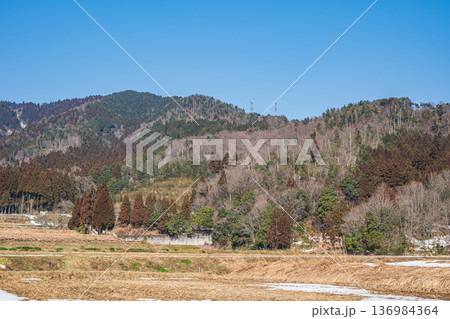 奥琵琶湖の山林風景　滋賀県長浜市永原 136984364
