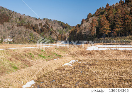 奥琵琶湖の残雪の棚田　滋賀県長浜市永原 136984366