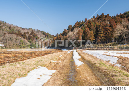 奥琵琶湖の残雪の棚田　滋賀県長浜市永原 136984368