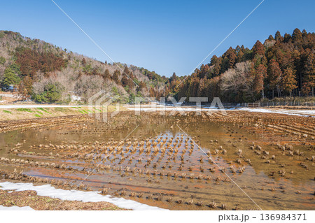 奥琵琶湖の残雪の棚田　滋賀県長浜市永原 136984371