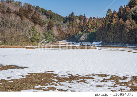 奥琵琶湖の残雪の棚田 滋賀県長浜市永原 奥琵琶湖の残雪の棚田 滋賀県長浜市永原 136984373