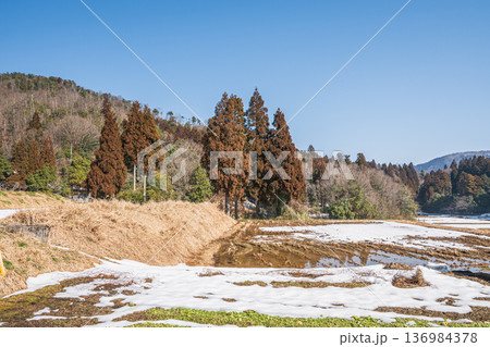 奥琵琶湖の残雪の棚田 滋賀県長浜市永原 奥琵琶湖の残雪の棚田 滋賀県長浜市永原 136984378