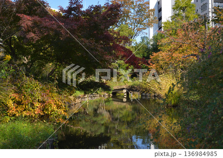 秋の向島百花園、東京都墨田区 秋の向島百花園、東京都墨田区 136984985