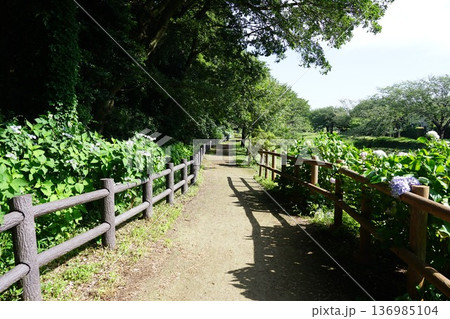東山ふれあい樹林 136985104