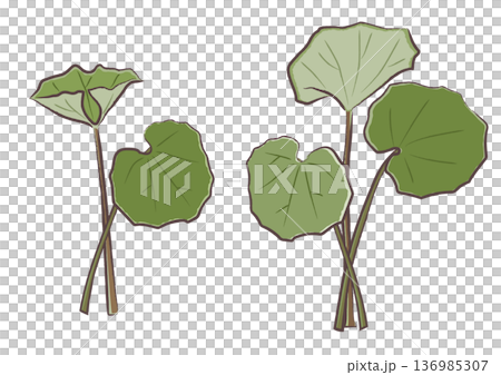 一組描繪多種春季野生植物的筆觸插圖，《津和吹》 136985307