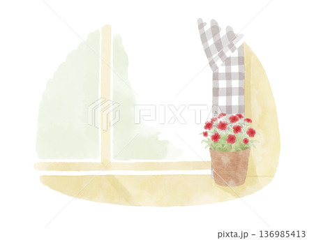 窓辺に置いた バスケットに入ったカーネーションの鉢植えのイラスト　水彩風 136985413