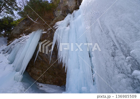 栃木県の奥日光、氷結した庵滝 136985509
