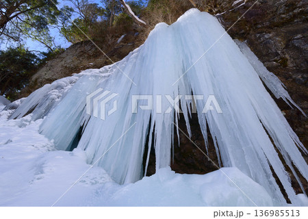 栃木県の奥日光、庵滝の氷柱 136985513