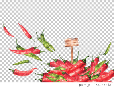 Watercolor hot chili pepper pile with flying out red, green pods end wooden rustic price tag sign. Hand drawn illustrations for vegetable market, spicy seasoning label design. Isolated from background Watercolor hot chili pepper pile with flying out red, green pods end wooden rustic price tag sign. Hand drawn illustrations for vegetable market, spicy seasoning label design. Isolated from background 136985818