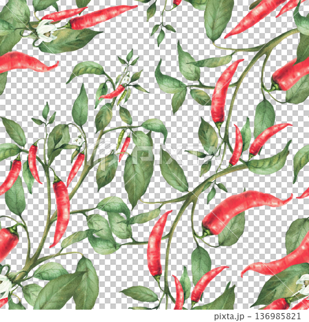 Chili pepper plant stem with flowers red end green pepper pods and leaves seamless pattern. Hand drawn watercolor illustration. Hot spicy garden vegetables for fabric design. Isolated from background Chili pepper plant stem with flowers red end green pepper pods and leaves seamless pattern. Hand drawn watercolor illustration. Hot spicy garden vegetables for fabric design. Isolated from background 136985821