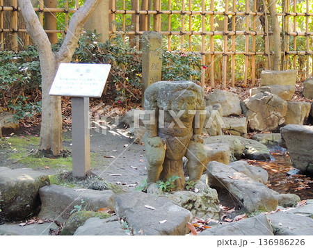 哲学堂公園 鬼燈 哲学堂公園 鬼燈 136986226