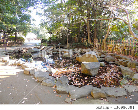 哲学堂公園　唯心庭 136986391