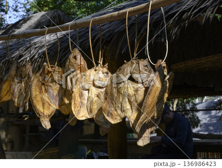 Dried fish hangs on a pole at the market on Hainan Island in China Dried fish hangs on a pole at the market on Hainan Island in China 136986423