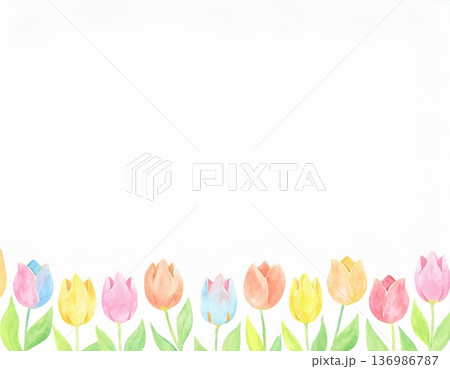 水彩のチューリップが下に並んだ背景 水彩のチューリップが下に並んだ背景 136986787