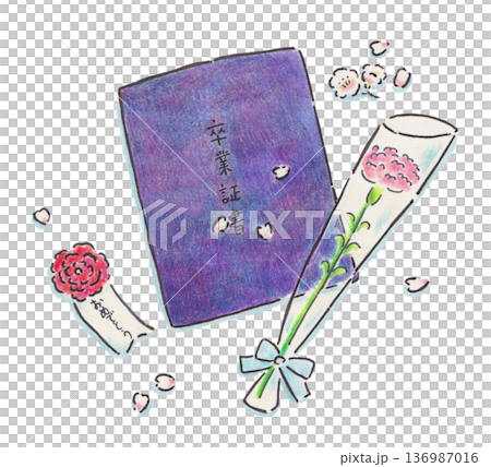 文憑和康乃馨插圖 文憑和康乃馨插圖 136987016