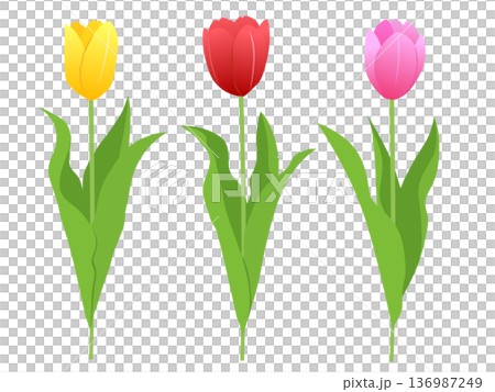 3色のチューリップのイラストセット（赤・黄・ピンク） 136987249