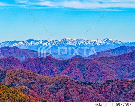 色鮮やかな晩秋の山並みと雪を抱く三国山脈 色鮮やかな晩秋の山並みと雪を抱く三国山脈 136987597