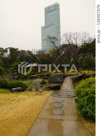 超高層ビルと日本庭園の風景 超高層ビルと日本庭園の風景 136987976