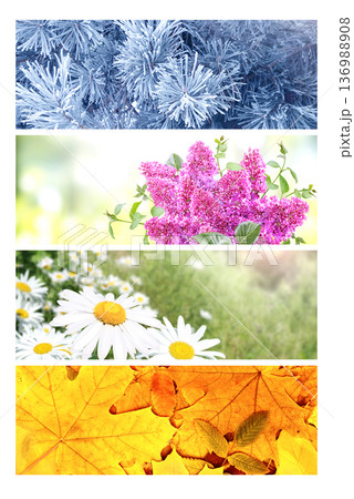 Four season of year. Set of horizontal nature banners. Each one features scene of nature, from the gentle snowfall of winter to the vibrant leaves of summer. Perfect for showcasing changing seasons 136988908