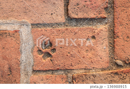 Terracotta Brick Texture with Animal Paw print. Natural rustic retro brick wall texture with cute dog paw mark. Zero waste, reuse, renewable resource, eco-friendly, pet-friendly concept Terracotta Brick Texture with Animal Paw print. Natural rustic retro brick wall texture with cute dog paw mark. Zero waste, reuse, renewable resource, eco-friendly, pet-friendly concept 136988915