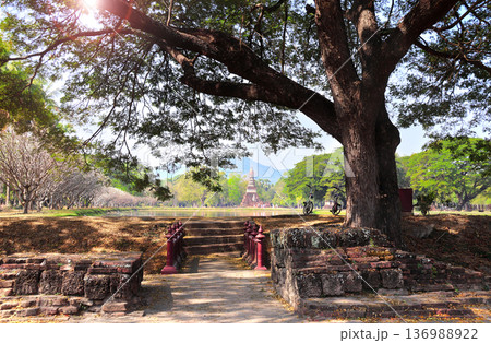Big old tree and parked bikes near river, Sukhothai historical park, Thailand. Picturesque landscape with tree, river and stupa, Sukhothai old city, Northern Thailand. Topic of vacation, travel, trip Big old tree and parked bikes near river, Sukhothai historical park, Thailand. Picturesque landscape with tree, river and stupa, Sukhothai old city, Northern Thailand. Topic of vacation, travel, trip 136988922