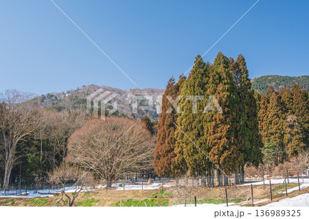 奥琵琶湖の山林風景 滋賀県長浜市永原 奥琵琶湖の山林風景 滋賀県長浜市永原 136989325