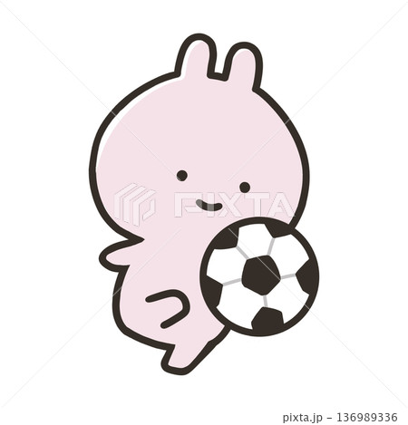 サッカーをするうさぎ 136989336