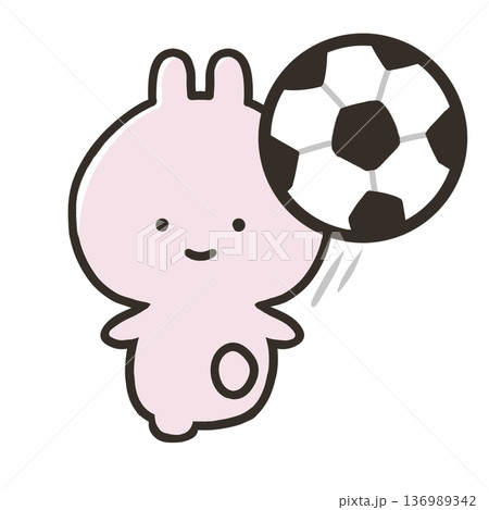 サッカーをするうさぎ 136989342