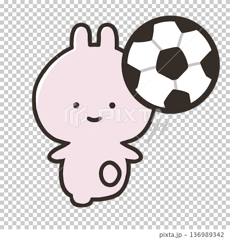 サッカーをするうさぎ 136989342
