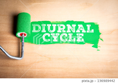 DIURNAL CYCLE Biological Rhythm Concept Painted On Wooden Surface 136989442