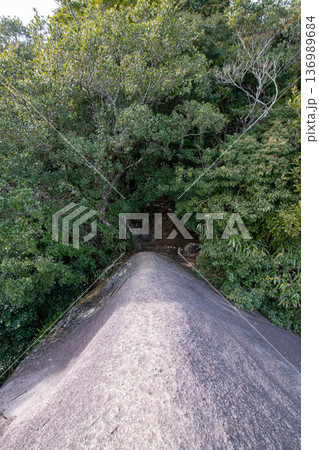三重県 紀北町 世界遺産 熊野古道 伊勢路 馬越峠 便石山 象の背から望む景色 三重県 紀北町 世界遺産 熊野古道 伊勢路 馬越峠 便石山 象の背から望む景色 136989684