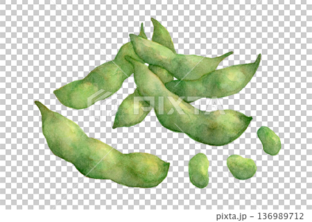 毛豆水彩插畫 136989712