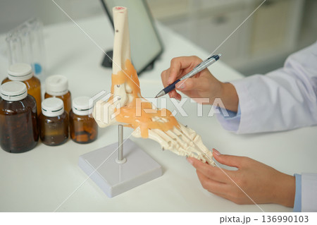 Doctor studying a bone model at a desk, showing medical learning, anatomy education, and professional training Doctor studying a bone model at a desk, showing medical learning, anatomy education, and professional training 136990103