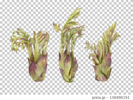 塔羅牌水彩插圖（3） 136990191