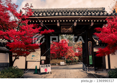 Historic Eikando Temple Gate Framed by Autumn Colors Nov 26 2025 Historic Eikando Temple Gate Framed by Autumn Colors Nov 26 2025 136990317