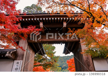 Historic Eikando Temple Gate Framed by Autumn Colors Nov 26 2025 136990318