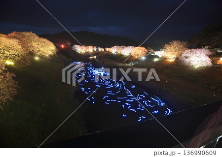 川に反射する光 136990609