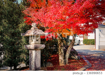Nov 24 2025 Historic Enjo ji Temple Entrance in Kyoto Nov 24 2025 Historic Enjo ji Temple Entrance in Kyoto 136990653