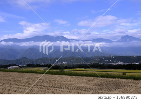 山麓から望む田園 136990875